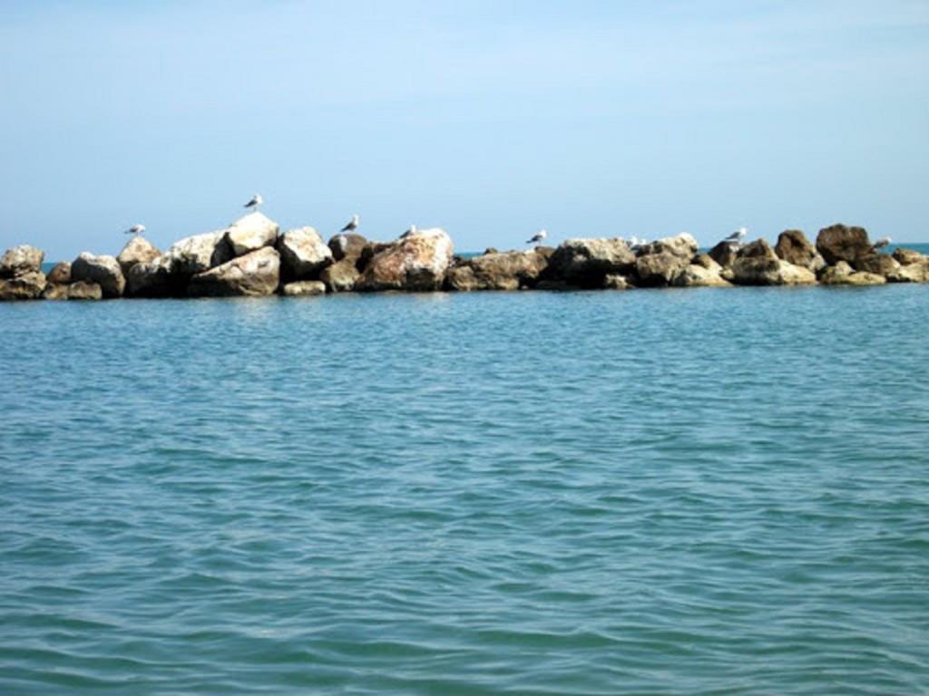 Un Nido Sul Mare Lägenhet Montesilvano Marina Exteriör bild